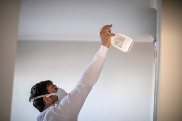 Best Attic Mold Removal  in Maple Lake, MN
