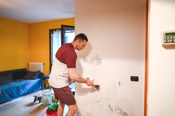 Best Commercial Mold Removal  in Maple Lake, MN